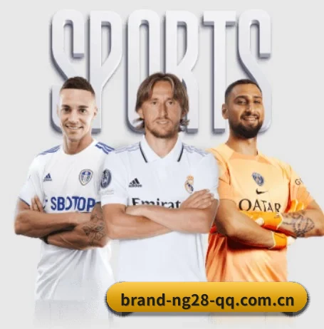 南宫体育 APP 界面 | NG28 SPORTS