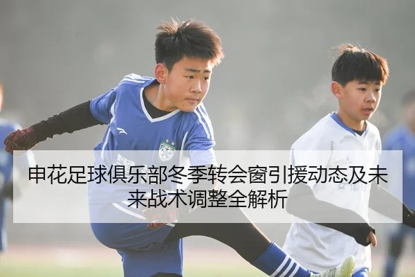 申花足球俱乐部冬季转会窗引援动态及未来战术调整全解析（NG28 SPORTS）